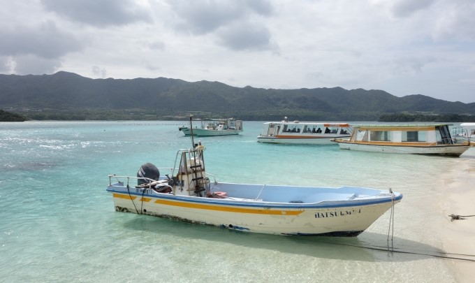 写真:海