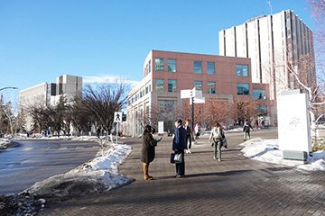 写真:カルガリー大学のキャンパス