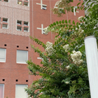 2024年度生 秋学期 開講科目